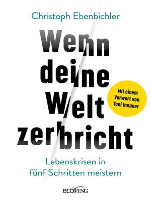 cover image of Wenn deine Welt zerbricht